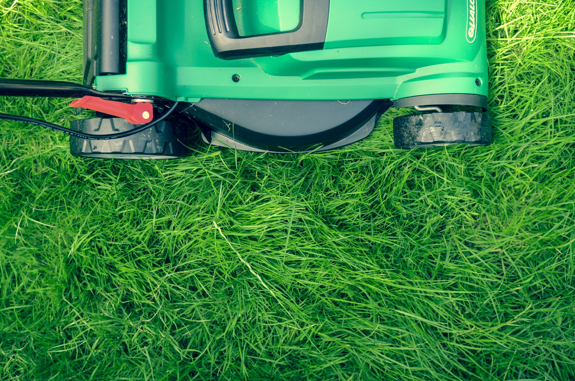 5 lawn maintenance tips